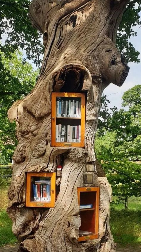 Library In Forest, Forest Hammock, Library Forest, Cabin Library, Little Library Ideas, Booklover Aesthetic, Readers Aesthetic, Little Free Library Plans, Tiny Drawings