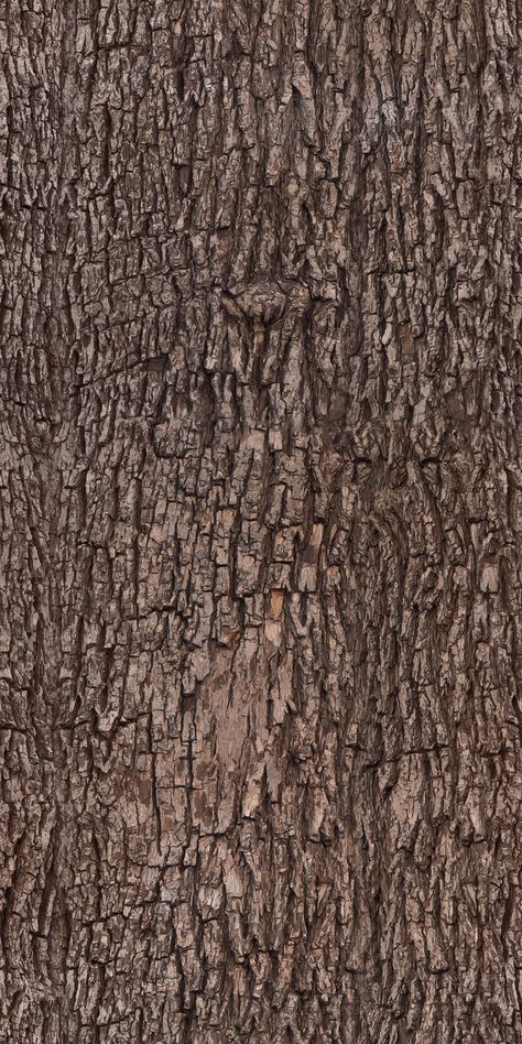 Light Wood Texture, Wood Texture Seamless, Tree Bark Texture, Bark Texture, Wood Bark, Tree Textures, Old Tree, Material Textures, Wood Wallpaper