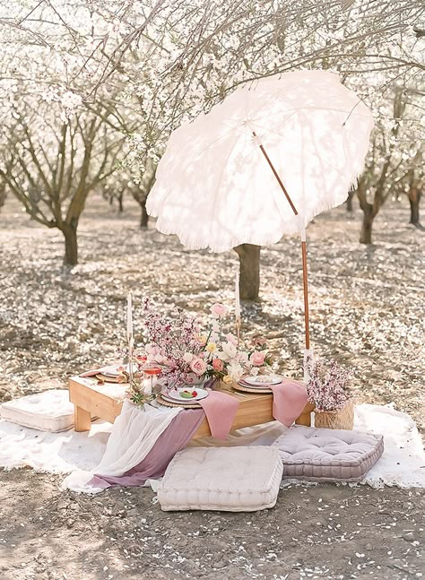 Bridal Picnic, French Picnic, Small Beach Weddings, Indoor Picnic, Picnic Inspiration, Blossom Season, Romantic Elopement, Portrait Shoot, Vintage Picnic