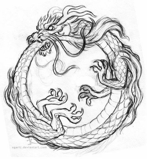 Chinese Dragon Drawing, Tattoos Sketches, Friendly Dragon, Animal Stencil Art, Dragon Tattoo Drawing, Japanese Dragon Drawing, Dragon Tattoo Sketch, Dragon Character, Ouroboros Tattoo