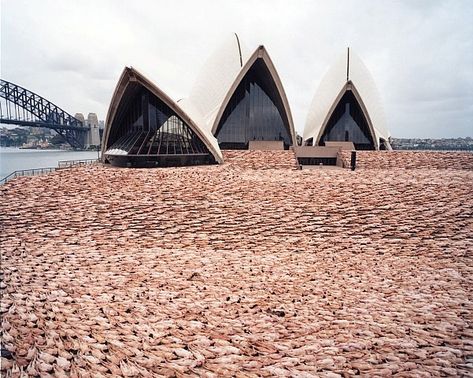 Spencer Tunick and his 100,000 nudes. Spencer Tunick, Emerson College, Australian History, Body Photography, Civic Center, Photography Work, Photographic Art, In Boston, American Artists