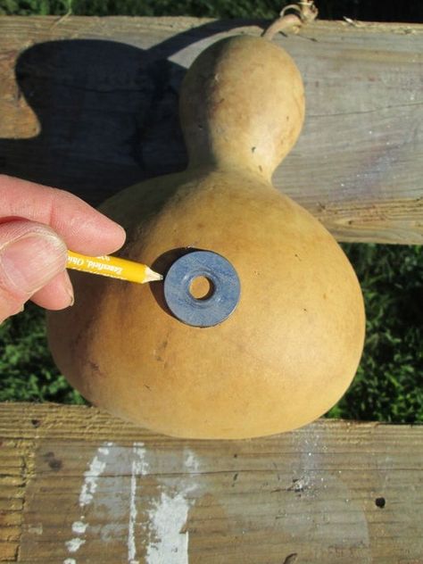 Gourd Bird Houses, Painting Gourds, Gourds Diy, Gourd Birdhouses, Birdhouse Gourds, Fall Gourds, Oh My Gourd, Gourd Ideas, Gourd Crafts