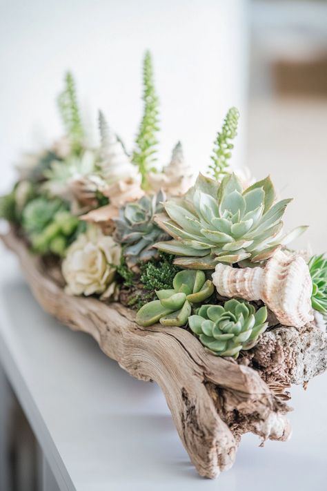 Bring the calming essence of coastal decor into your home with Succulent Driftwood Arrangements! Discover 10 inspiring ideas to liven up your space using these unique, sustainable arrangements. Succulents not only add a touch of greenery but also enhance your indoor air quality. Whether you're a novice or an experienced gardener, these coastal decor tips will elevate your interior design. Dive into the world of succulent driftwood arrangements and transform your living space today! Don't miss the chance to create a serene, eco-friendly atmosphere. #CoastalDecor #SucculentArrangements Succulents In Driftwood, Coastal Succulent Garden, Unique Succulent Arrangements, Succulent Table Arrangements, Fall Succulent Arrangements, Succulent Table Centerpieces, Succulent Arrangements Indoor, Centerpieces With Succulents, Succulent Bathroom