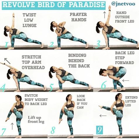 Bird Of Paradise Yoga, Yoga Restorative, Asana Yoga Poses, Twist Yoga, Yoga Goals, Asana Yoga, Yoga Themes, Ashtanga Vinyasa Yoga, Yoga Nature