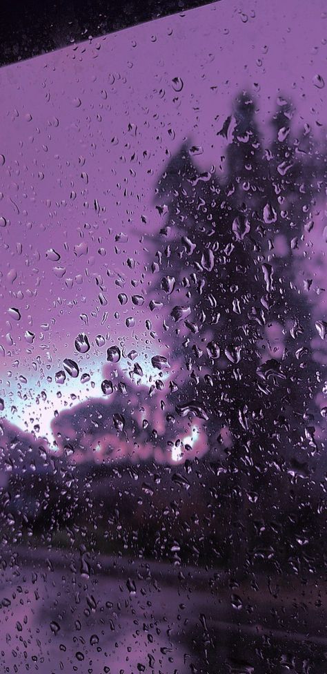 Rain Purple Aesthetic, Purple Aesthetic Background, Purple Flowers Wallpaper, Rain Wallpapers, Purple Vibe, Aesthetic Car, Lavender Aesthetic, Ethereal Aesthetic, Dark Purple Aesthetic