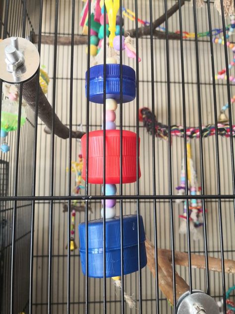 Parrot Enrichment Diy, Bird Foraging Toys Diy, Rat Foraging Toys, Diy Bird Perch, Rat Toys Diy, Parrot Toys Diy, Diy Budgie Toys, Bird Toys Diy, African Grey Toys