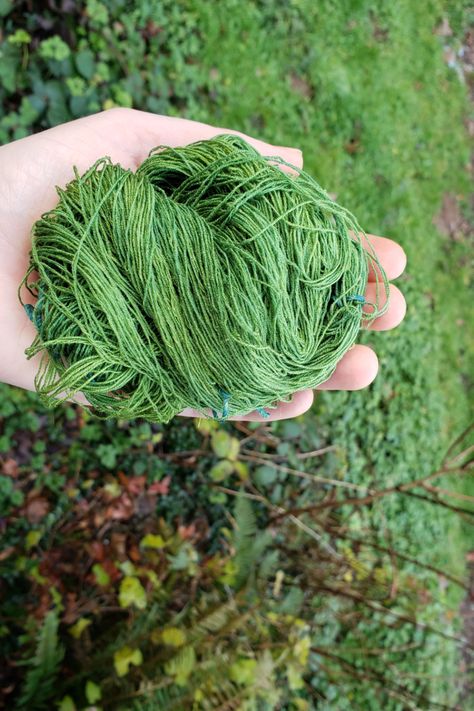 Goldenrod Dye, Natural Green Dye, Mulch Ideas, Stamping Fabric, Leaf Dyeing, Forest Farm, Dried Hibiscus Flowers, Dyeing Tutorials, Dye Yarn