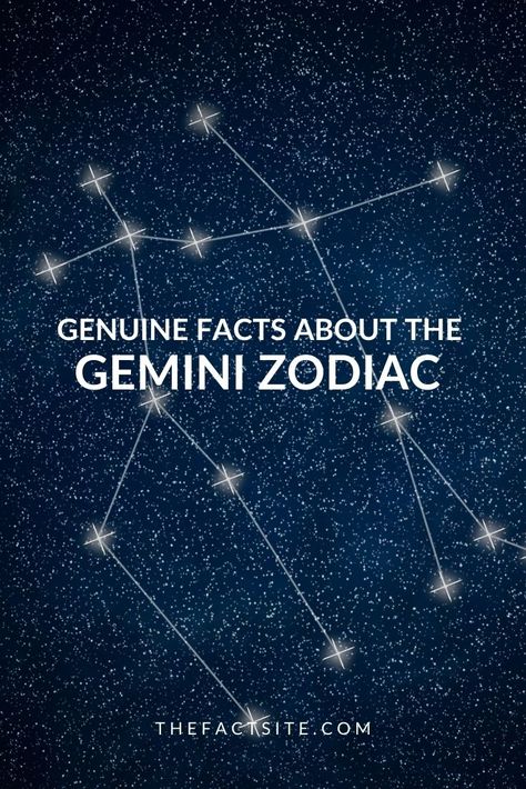 Those born between May 21 and June 21 are Geminis. Gemini is the 3rd sign within the zodiac and is represented by the Twins. Geminis are well known for having two sides, but underneath all that, you'll find a person who is fun to be around and a terrific friend. Their element is air which means they are bright and have tremendous social skills. To find out more, be sure to keep reading these facts all about Geminis. #TheFactSite #Facts #Gemini #Astrology #StarSigns #ZodiacSigns Gemini Woman Facts, Gemini Zodiac Facts Women, Gemini Zodiac Facts, Famous Geminis, May Gemini, June Zodiac, June Gemini, All About Gemini, Gemini Astrology