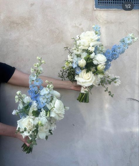 Delphinium Bouquet, White Flowers Wedding, Hydrangea Bridal Bouquet, Prom Bouquet, Blue Flowers Bouquet, Flowers Wedding Bouquet, Bridesmaid Bouquet White, Blue White Weddings, Bridal Bouquet Blue