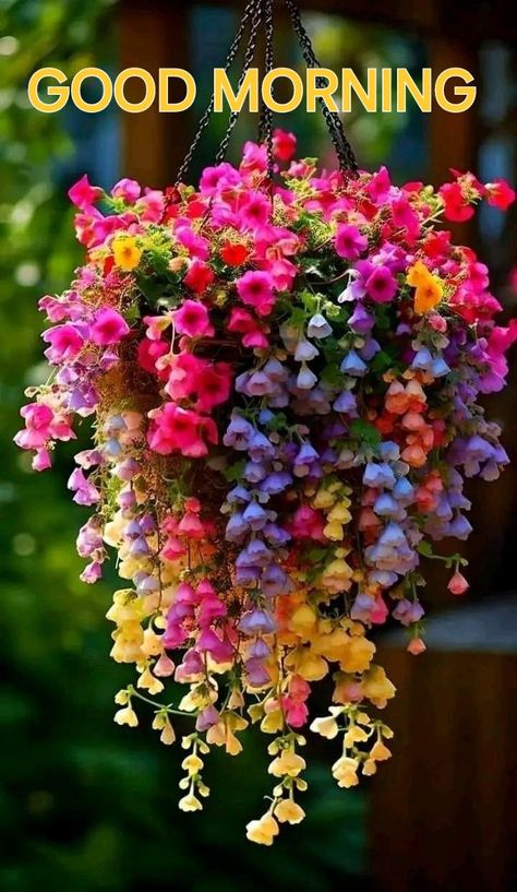 Good Morning With Flowers, Quotes For Your Partner, Good Morning Animated Images, Lovely Good Morning Images, Beautiful Floral Arrangements, Positive Good Morning Quotes, Cute Good Morning Images, Good Morning Nature, Good Morning Flowers Quotes