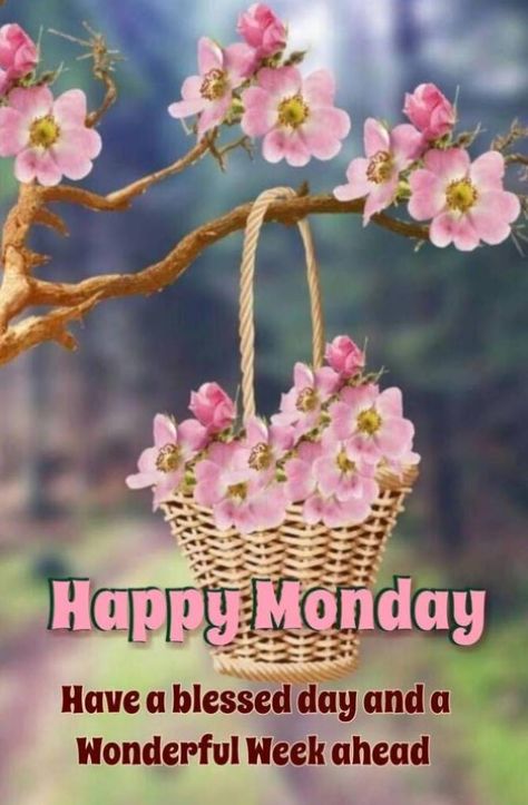 Gm Monday, Monday Good Morning Wishes, Monday Outfits, Monday Morning Greetings, Happy Monday Pictures, Monday Morning Blessing, Blessed Monday, Wednesday Morning Quotes, Magic Monday