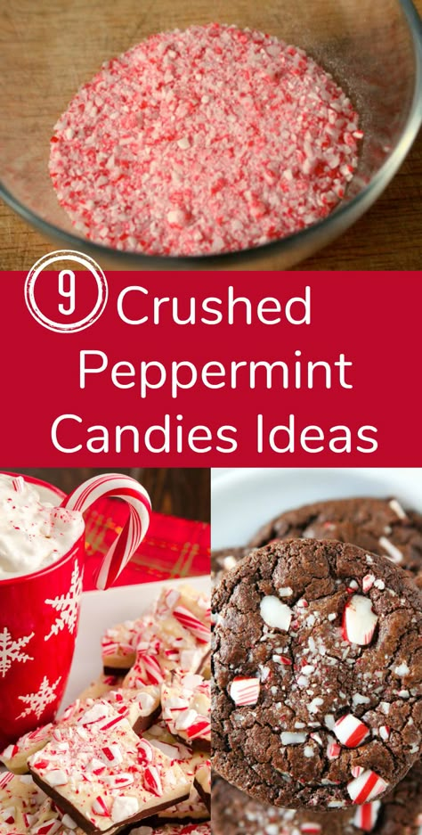 9 Crushed Peppermint Candies Ideas - I’ve recently made a batch of crushed up peppermint candy canes to add to a few yummy holiday treats! Make some now! Recipes Using Crushed Candy Canes, Desserts With Candy Canes, Cookies With Crushed Peppermint, What To Do With Candy Canes, Cookies With Crushed Candy Canes, Crushed Peppermint Cookies, Recipes Using Candy Canes, Crushed Candy Cane Cookies, Crushed Candy Cane Recipes