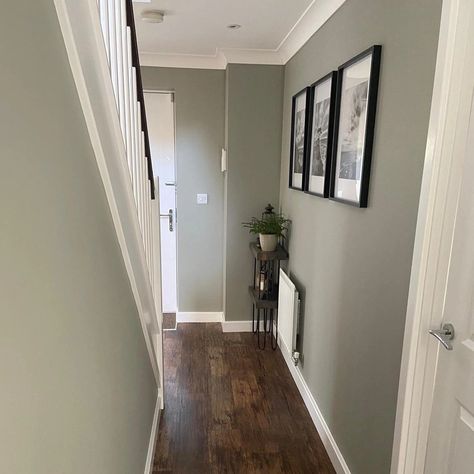 Grey hallway with dark wooden floors Grey Hallways And Stairs, Dark Color Hallway, Hallway With Dark Wood Floor, Green Carpet Hallway, Dark Floor Hallway Ideas, Modern Hallway Colours, Dark Floors Green Walls, Sage Green And Black Hallway, Hallway Dark Floor