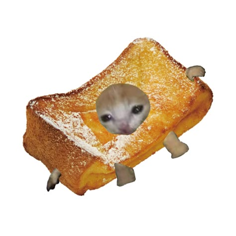 Cursed Cat Pfp, Crying Cat Costume, Cat Mem, Bread Cat, Cursed Cat, Banana Cat, Funny Looking Cats, Taco Cat, Food Costumes