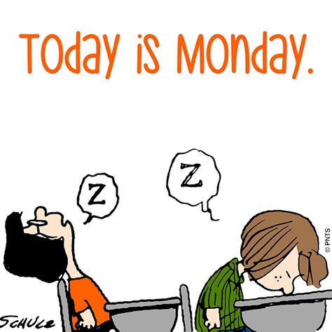 Today Is Monday, Monday Humor, Snoopy Funny, Groucho Marx, Peanuts Cartoon, Snoopy Quotes, Humor Videos, Snoopy Pictures, It's Monday