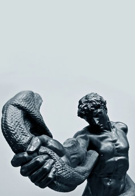 Athlete Wrestling With A Python, Ns Aesthetic, Ancient Greek Sculpture, Greek Mythology Tattoos, Greek Statues, Mythology Tattoos, Greek Tattoos, Greek Mythology Art, Greek Sculpture