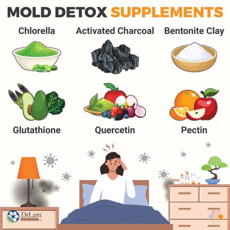 When You Need a Mold Detox and How to Get Started Mold Detoxing, Adrenal Fatigue Recovery, Fever Symptoms, Detox Supplements, Mold Exposure, Heavy Metal Detox, Adrenal Support, Adrenal Health, Inflammatory Diet