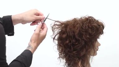 How To Cut a Curly Shag | American Salon Curly Hair Wolf Cut, Straight Shag, Shaggy Curly Hair, Hair Wolf Cut, Curly Shag, Curly Shag Haircut, Shaggy Haircuts, Shag Haircuts, Wavy Haircuts