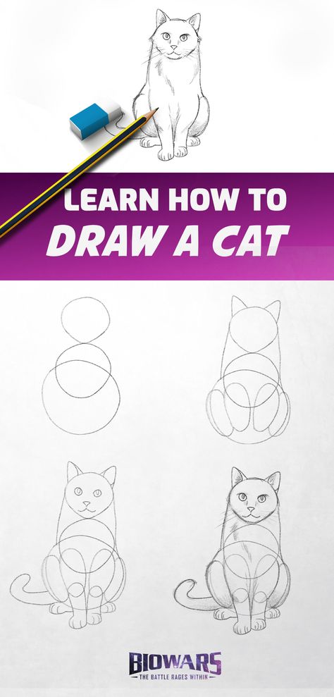 A collage of images depicting the process of drawing a cat. Cat Drawing Guide, Cat Drawings Tutorials, How To Draw Anime Cat, Comic Cat Drawing, How To Draw A Cute Cat Step By Step, Realistic Cat Drawing Step By Step, How To Paint A Cat Step By Step, Draw A Cat Step By Step, Simple Cat Drawing Step By Step