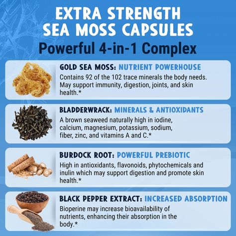 Food Cheat Sheets, Irish Sea Moss, High Cortisol, Marine Algae, Burdock Root, Healing Foods, Irish Sea, Health And Fitness Articles, Sea Moss