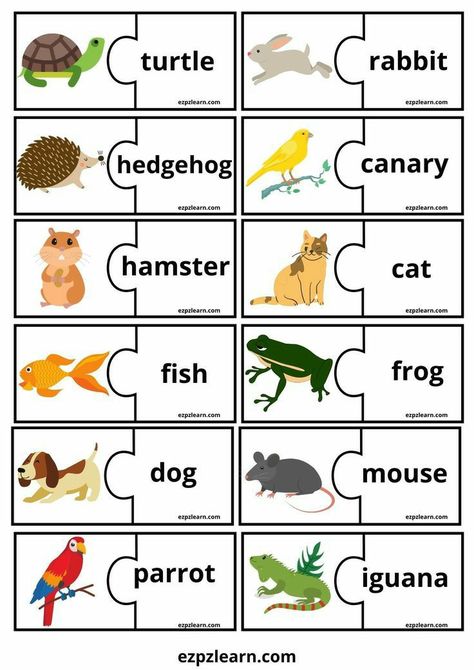 Animals Puzzle Worksheet, My Pets Worksheets For Kids, English Games For Kids Teaching, Pet Animals Worksheets For Kids, Animals For Kids Teaching, English Games Teaching, English Activities For Kids Kindergarten, English For Kids Games, Animals Games For Kids