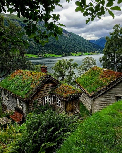 Voyage Europe, Cabins And Cottages, Beautiful Places In The World, Green Roof, Cabins In The Woods, Pretty Places, Most Beautiful Places, Scandinavia, Old House