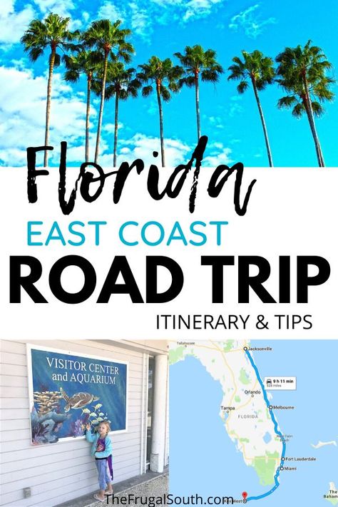 Road Trip East Coast, Key West Road Trip, Florida Keys Road Trip, Florida Travel Destinations, Beach Road Trip, Florida Road Trip, Florida East Coast, Florida Travel Guide, Road Trip Tips