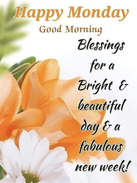 Monday Morning Greetings, Monday Morning Prayer, Monday Good Morning, Monday Morning Blessing, Monday Greetings, Happy Monday Morning, Evening Quotes, Good Evening Greetings, Good Morning Greeting Cards