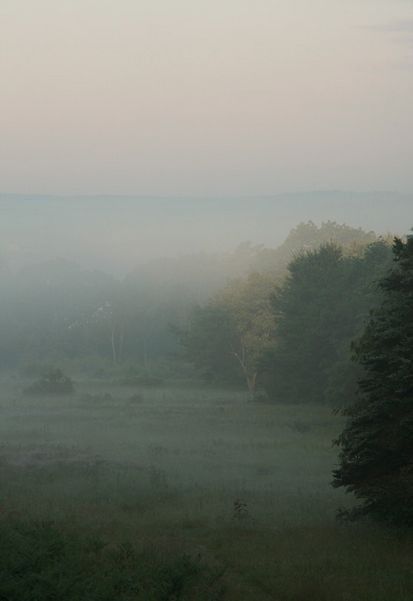 Soothing Images, Foggy Weather, An Old Soul, Romantic Nature, Foggy Mountains, Dreamy Landscapes, Grey Gardens, Landscape Photography Nature, Foggy Morning