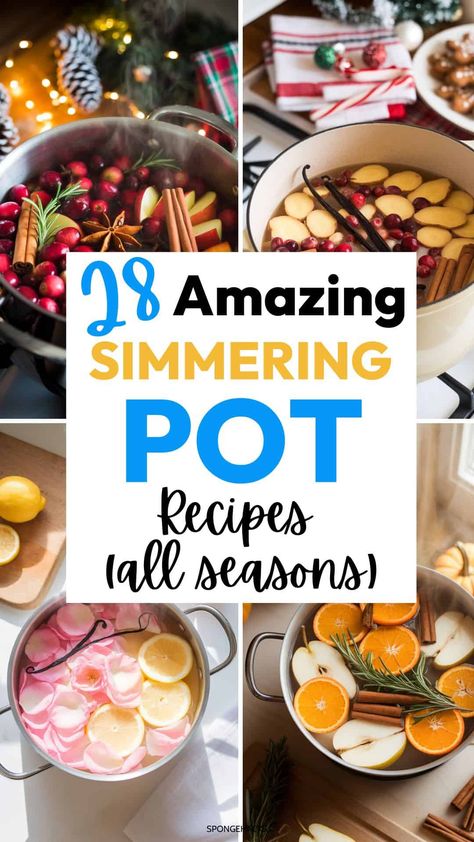 How to make your house smell good is very simple: simmering pot recipes are here! These potpourri recipes for stovetop smell amazing and are easy to make. From Christmas potpourri to Fall potpourri to spring and summer potpourri, get every season recipes for your house to smell good.