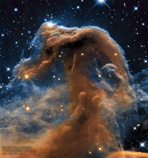 Hubble Ultra Deep Field, Hubble Space Telescope Pictures, Horsehead Nebula, Space Pics, Astronomy Nebula, Astronomy Pictures, Carina Nebula, Hubble Images, Holography