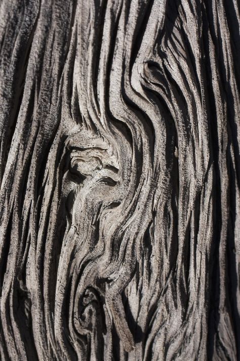 Natural wood with sculptural patterns & textures; tree bark; organic form; nature's artwork Tree Bark Texture, Tree Textures, Texture Inspiration, Soyut Sanat Tabloları, Concrete Crafts, Nature Artwork, Trendy Tree, Organic Pattern, Tree Bark