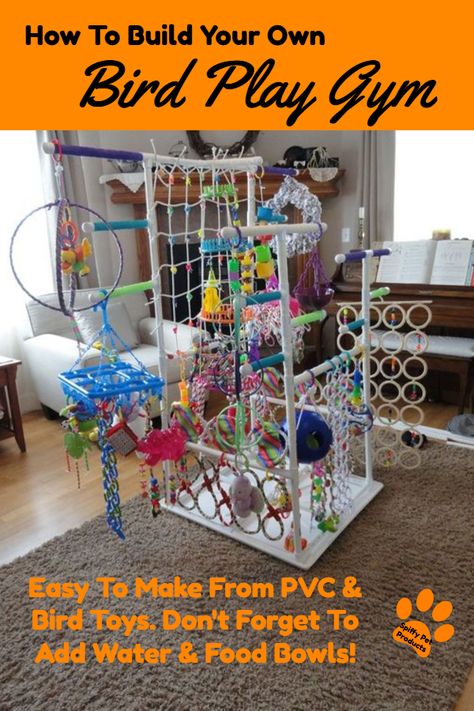 How To Build Your Own Bird Play Gym With PVC Bird Room Ideas, Bird Play Gym, Parrot Play Stand, Diy Parrot Toys, Diy Parrot, Bird Room, Diy Bird Toys, Parrot Stand, Bird Ideas