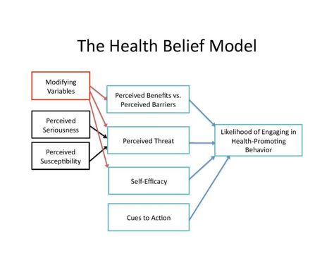 Nursing Concepts, Health Belief Model, Praxis Study, Health Economics, Model Template, Self Efficacy, Community Health, Physical Environment, Health Psychology