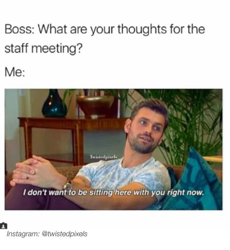 Work Meeting Humor, Staff Meeting Humor, Work Meeting Meme, Meetings Humor, Memes Work, Therapist Humor, Work Funnies, Social Work Humor, Staff Meeting