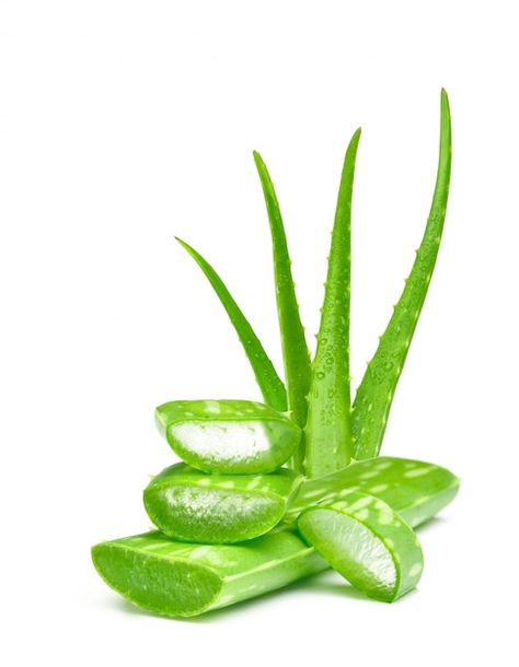 Fresh green aloe vera leaves on white ba... | Premium Photo #Freepik #photo #natural-herbs #herbs #organic-leaf #fresh Save Water Images, Aloe Vera Image, Aloe Vera Face Wash, Aloe Barbadensis Miller, Forever Living Aloe Vera, Soft Shiny Hair, Brow Care, Aloe Vera For Skin, Cleanser For Sensitive Skin