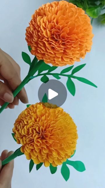 Diy Paper Marigold Flower, Color Paper Flowers, Marigold Flower Paper Craft, Marigold Art Project, Marigold Diy Paper Flowers, Diy Color Paper Crafts, How To Make Paper Marigold Flowers, Marigold Paper Flower, Marigold Paper Flowers Diy