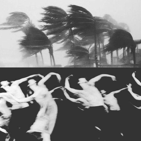 Diptych Art, Pina Bausch, Blowing In The Wind, Septième Art, Powerful Art, Arte Inspo, Cinematic Photography, Photography Inspo, Film Photography