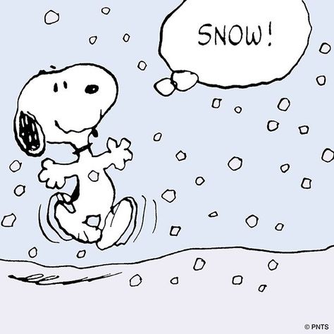 Winter Widgets, Woodstock Snoopy, I Love Snow, Snoopy Images, Peanuts Cartoon, Peanuts Characters, Snoopy Quotes, Peanuts Christmas, Snoopy Pictures