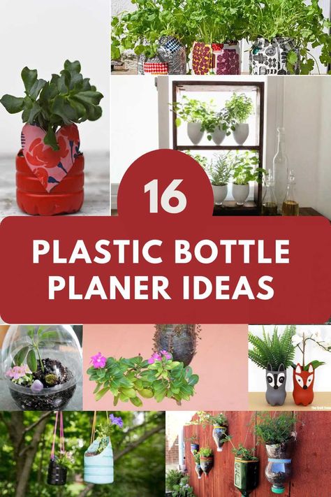 Explore our curated collection of DIY plastic bottle planter ideas. These eco-friendly creations are perfect for adding a touch of green to your space while recycling everyday items in a fun and creative way. Bottle Planter Ideas, Upcycle Plastic Bottles, Uses For Plastic Bottles, Bottle Planters, Plastic Container Crafts, Recycled Planters, Repurposed Crafts, Arts And Crafts Tiles, Plastic Bottle Planter