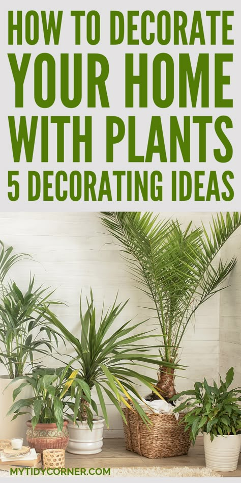 how to decorate with plants indoors How To Group Plants Together, Plants Arrangement Indoor, Using Plants To Decorate Indoors, Decorating Living Room With Plants, How To Style Plants Indoors, Decorating With Plants Indoors Ideas, Indoor Plant Arrangements, Living Room Plant Decor Ideas, How To Decorate With Plants