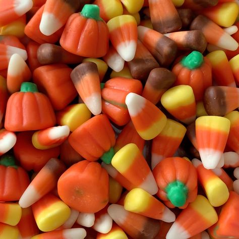 Fall Candy Aesthetic, Halloween Sweets Aesthetic, Halloween Candy Aesthetic, Candy Corn Aesthetic, Fall Sleepover, Halloween Nostalgia, Dulces Halloween, Pumpkin Candy Corn, Fall Candy