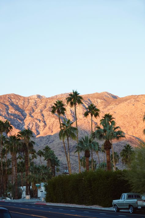 La Palm Trees Aesthetic, Desert California Aesthetic, Palm Springs Pictures, Southern California Mountains, Los Angeles Mountains, Palm Desert Aesthetic, Summer California Aesthetic, Palm Springs California Aesthetic, Ojai California Aesthetic