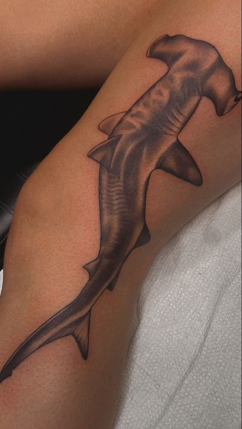 Shark Shin Tattoo, Shark On Knee Tattoo, Shark Leg Tattoos Women, Hammerhead Sharks Tattoo, Jellyfish Side Tattoo, Hammerhead Shark Tattoo Ideas, Shark Stomach Tattoo, Scary Shark Tattoo, Whale Shark Hip Tattoo