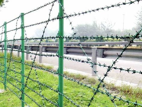 Barbed Wire as Security Wire Fence, Galvanized and PVC for Prison Different Types Of Fences, Barbed Wire Fence, Barbed Wire Fencing, White Fence, Mesh Fencing, Security Fence, Types Of Fences, Building A Fence, Modern Fence