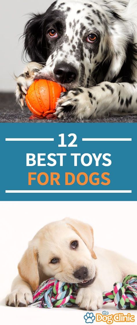 Toy Storage Living Room, Homemade Dog Toys, Dog Accesories, Dog Gift Ideas, Dog Brush, Dog Toys Indestructable, Dog Toy Storage, Diy Dog Toys, Toys For Dogs