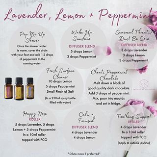 Some ways to use Lavender, Lemon + Peppermint! I could have done 4 more pages of ideas as they are so versatile! 😍  Which one is your favourite? I like them all but this week I think Lemon is winning 🍋🍋🍋 Helichrysum Essential Oil, Doterra Blends, Doterra Diffuser, Doterra Diffuser Blends, Doterra Essential Oils Recipes, Doterra Oil, Making Essential Oils, Young Living Essential Oils Recipes, Essential Oils Guide