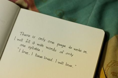 There is only one page to write on. I will fill it with words of only one syllable: "I love. I have loved. I will love". The Time Travelers Wife, I Capture The Castle, The Time Traveler's Wife, Words Typography, Time Travelers, Wife Quotes, Cute Love Quotes, Some Words, The Castle