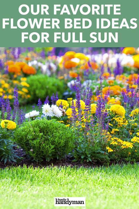 Our Favorite Flower Bed Ideas for Full Sun Bedding Plants For Full Sun, Flower Bed Patio, Flowers Around Patio Backyards, Colorful Flower Bed Ideas, Full Flower Beds, Lawn Flower Bed Ideas, Front Bed Landscaping Ideas Full Sun, Annual Flower Bed Ideas, Sun Garden Design