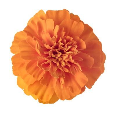 Meaning of a Marigold Flower Ay Tattoo, Marigolds Tattoo, Flower Drawing Reference, October Birth Flower, Growing Marigolds, Marigold Orange, Feather Bouquet, Color Quiz, Bouquet Art